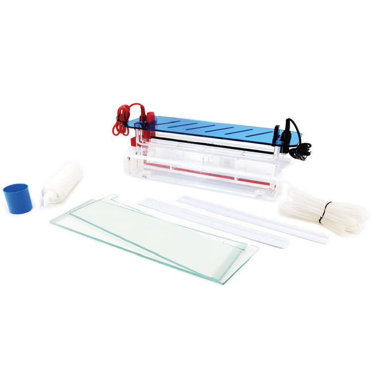 北京六一DYCZ-20H型高通量垂直電泳儀